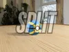 SPLIT Profile - V2