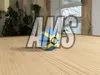 AMS Profile - V2