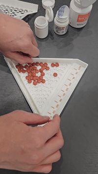 0.2mm layer, 2 walls, 15% infill