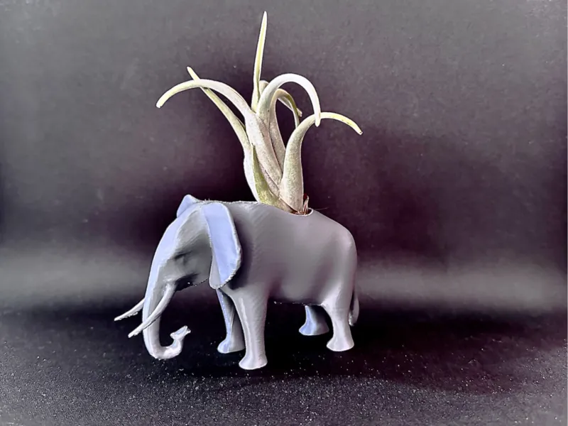 Elephant Airplant Pot/Planter