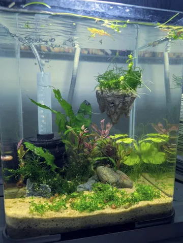 Soporte: Floating Hallelujah Mountains for Aquarium — vista de referencia 5