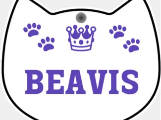 Cat Tag Beavis