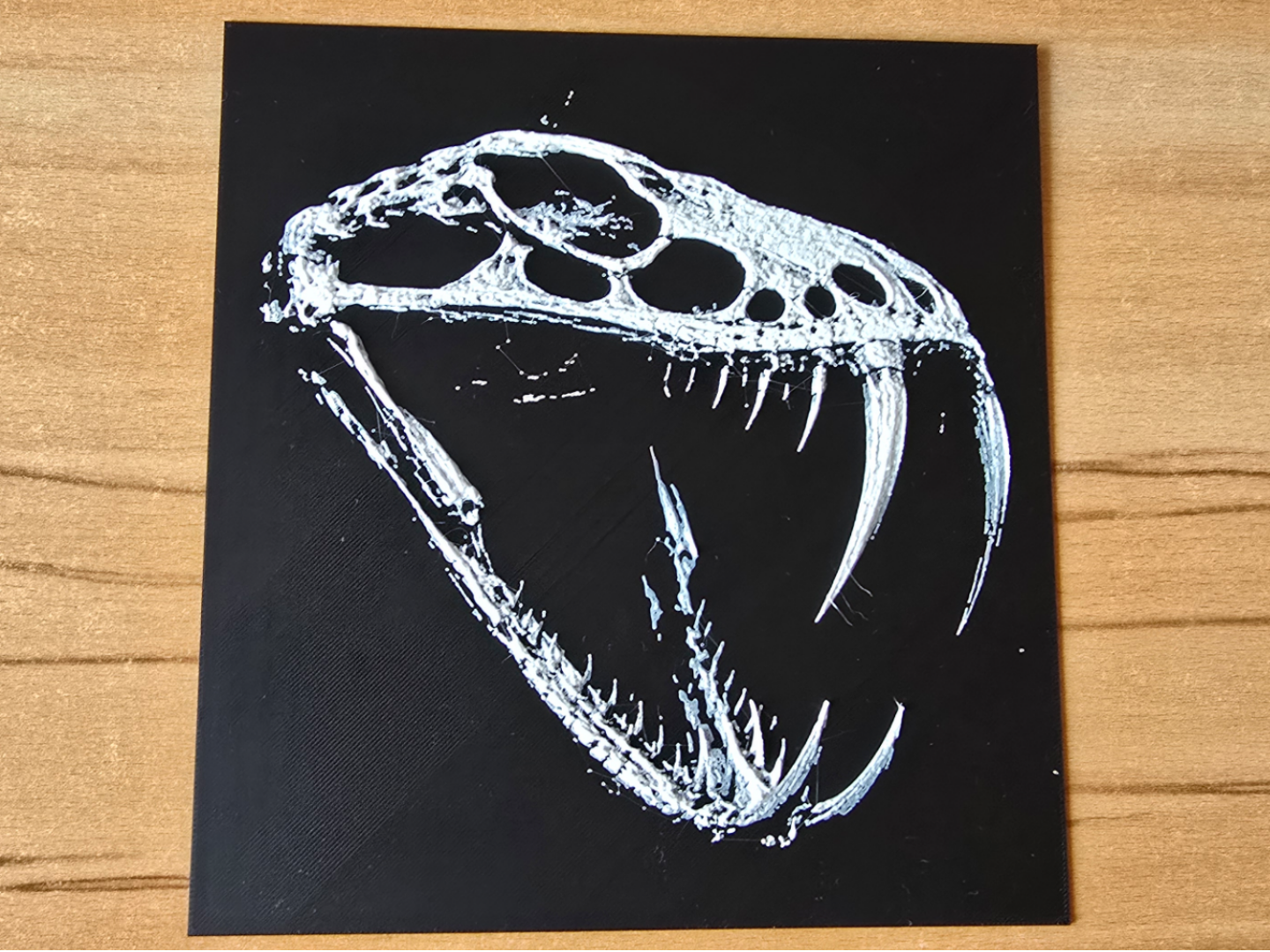 Giftschlangen Schädel | Venom Snake Skull