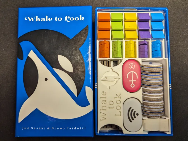 Whale to Look - Insert