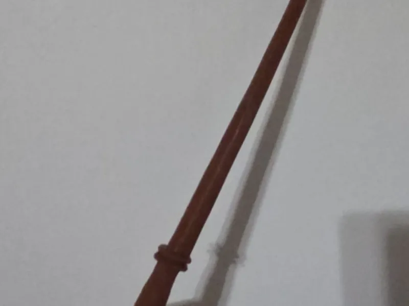 Bacchetta Harry Potter 1° anno