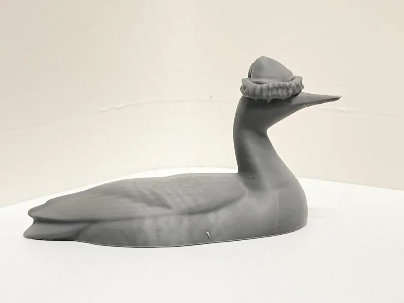 Christmas Loon