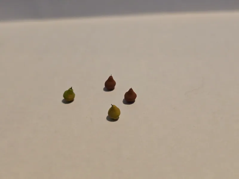D&D pear