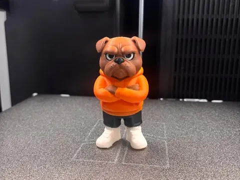 https://makerworld.bblmw.com/makerworld/model/US9461016bb98574/design/fee44433b95420ad.jpg