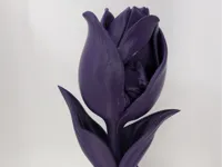 0.16mm layer, 2 walls, 8% infill