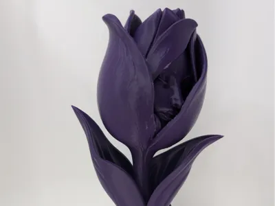 The Unspoken Tulip