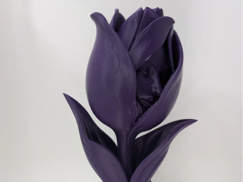 The Unspoken Tulip