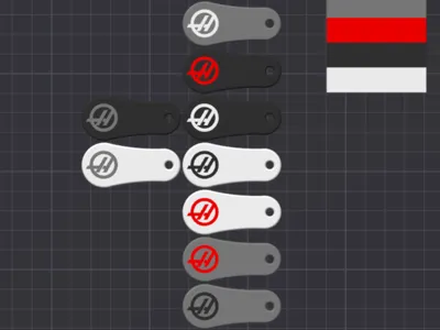 Shopping Cart Token Haas Keychain
