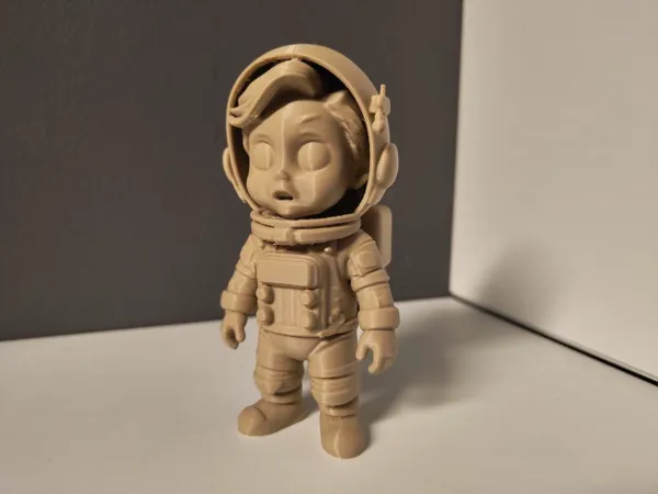 https://makerworld.bblmw.com/makerworld/model/US9466b7fe1d931c/design/2025-04-29_3d6ddc57c0d288.jpg
