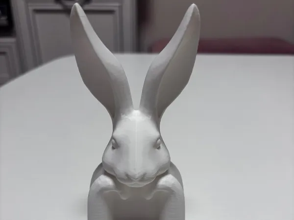 https://makerworld.bblmw.com/makerworld/model/US9466ca8e485964/design/2025-02-20_f66481311d368.jpg