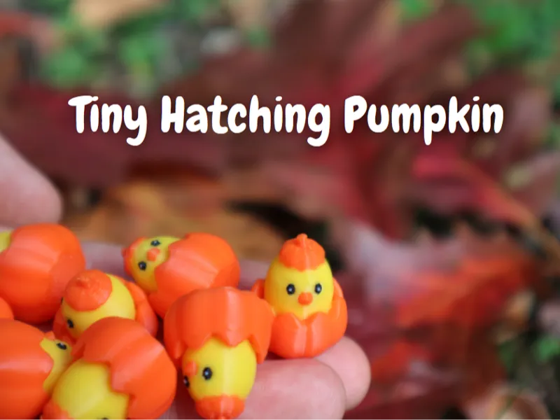 Cute Tiny Hatching Pumpkin