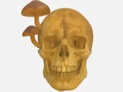 Realistic Fungi Skull