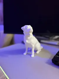 0.6mm nozzle, 0.3mm layer, 2 walls, 15% infill
