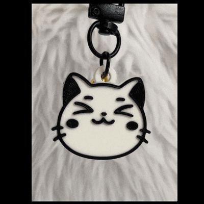 Smiling Cat Tag keychain