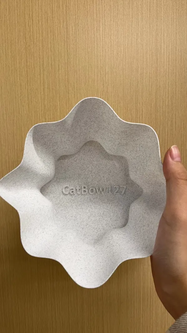 https://makerworld.bblmw.com/makerworld/model/US9472f2b4053a38/design/2024-01-10_dfab3178c46cd.jpg