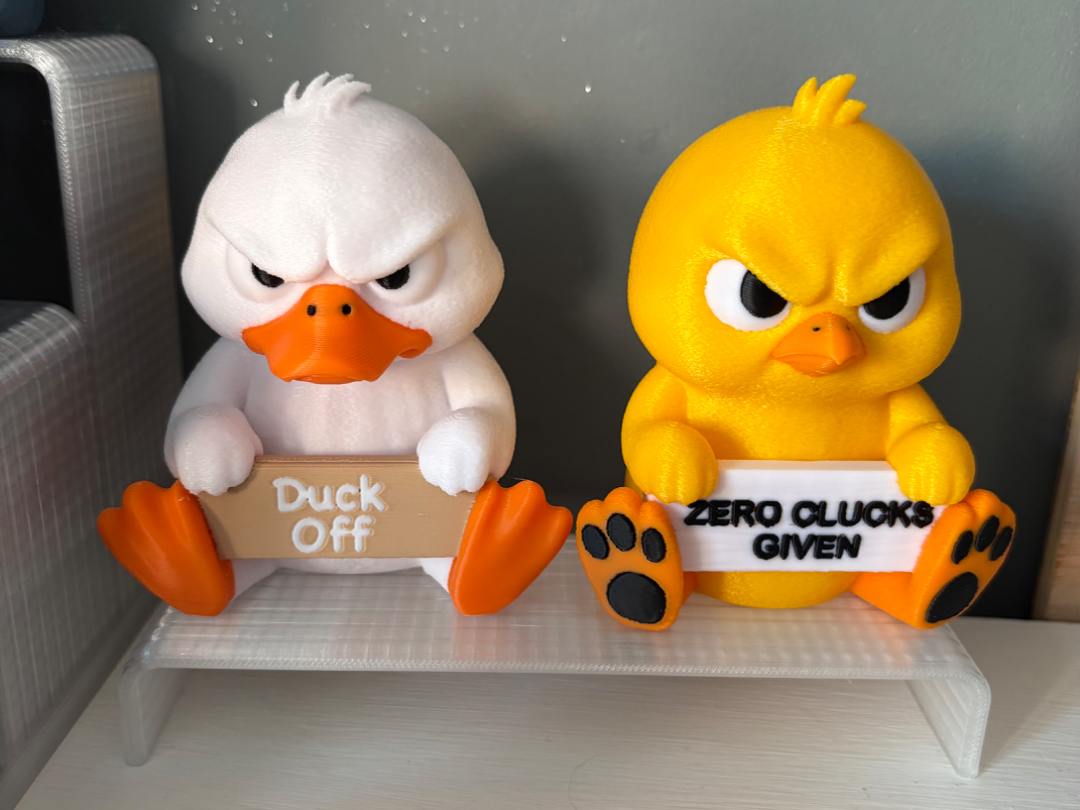 Cute But Grumpy Chick