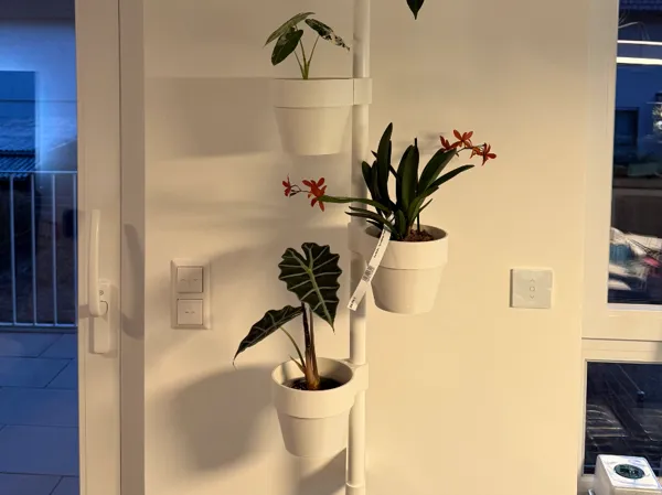 https://makerworld.bblmw.com/makerworld/model/US947af3ef6bb16e/design/4ce77920b80f35c4.jpeg