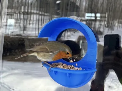 Window Bird Feeder 