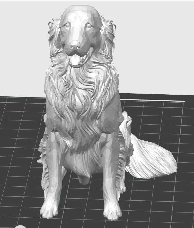 golden retriever miniature view 3