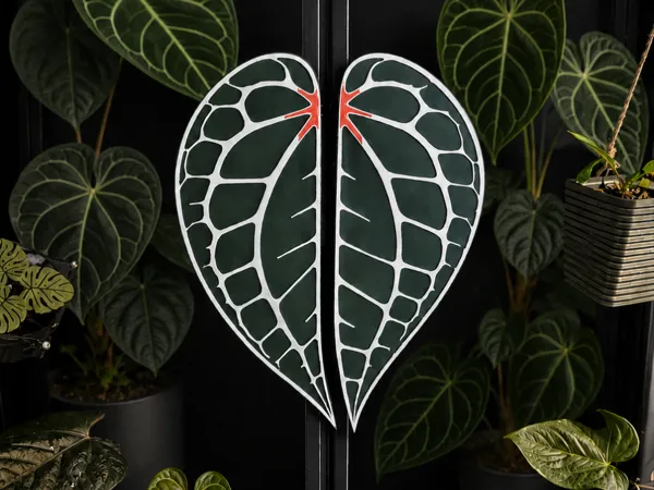 https://makerworld.bblmw.com/makerworld/model/US9482104119a647/design/6c1322d405e9b318.png