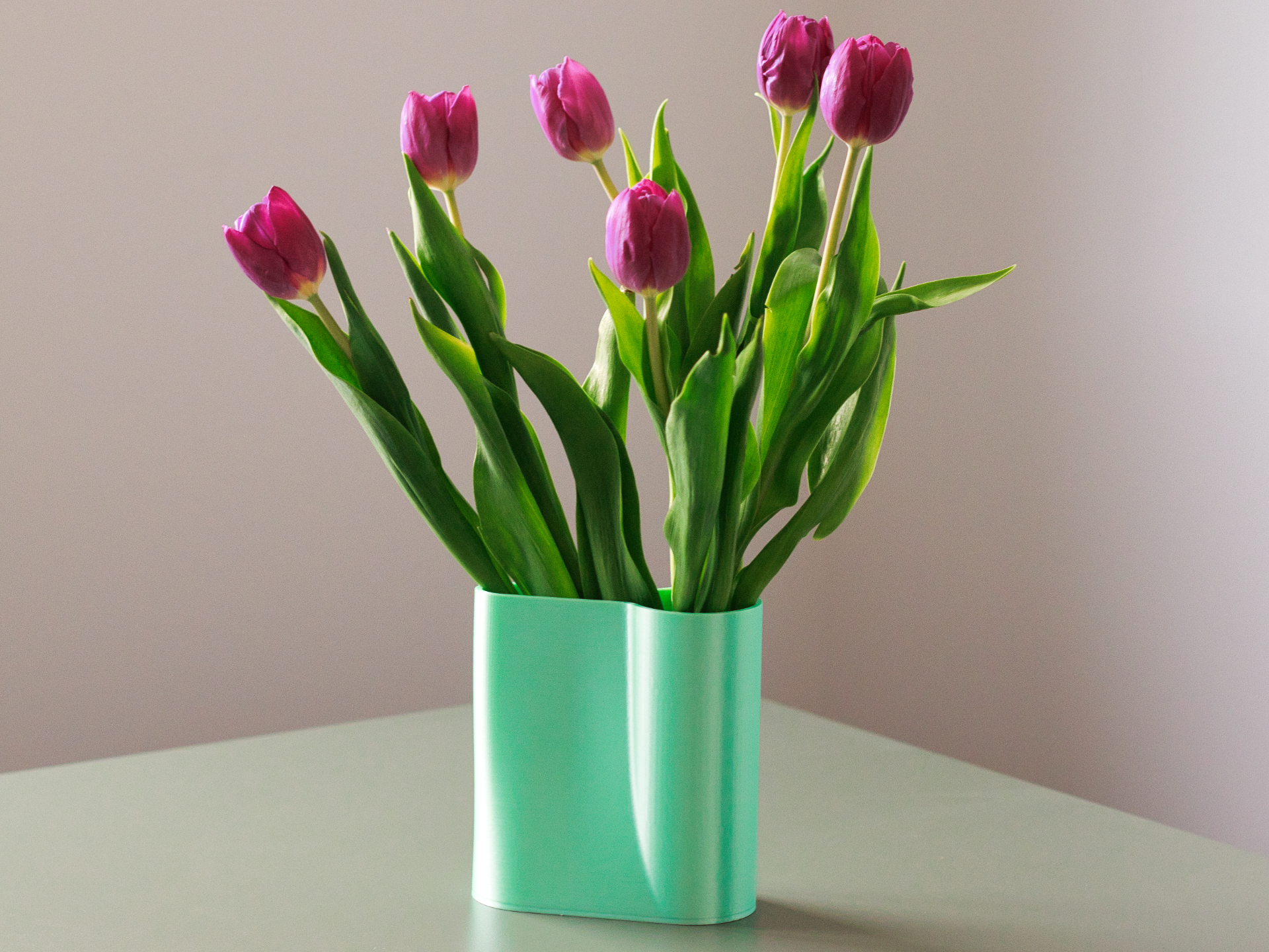 Floral Fan – Arrangement and Propagation Vase