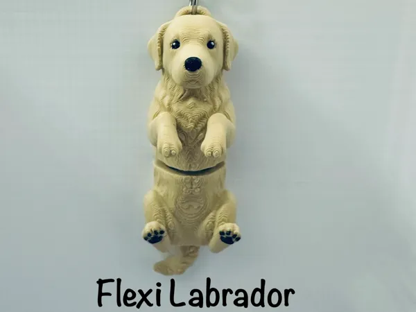 https://makerworld.bblmw.com/makerworld/model/US94852bdd498777/design/2c2b85a6a00d26f0.jpg