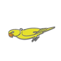 Right Indian Ringneck 5 colors AMS pre printed