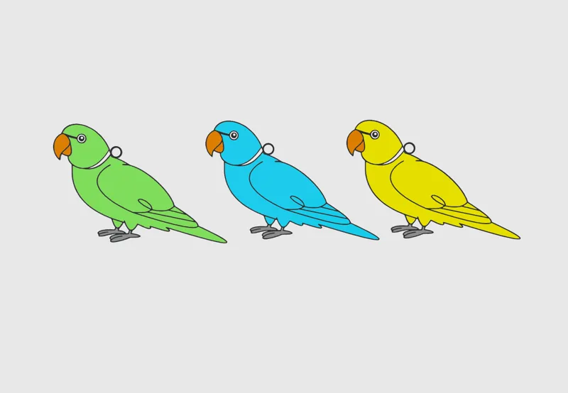 Indian Ringneck Parrot Keychains