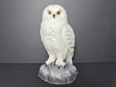 Snow Owl