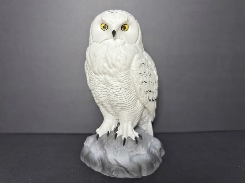 Snow Owl