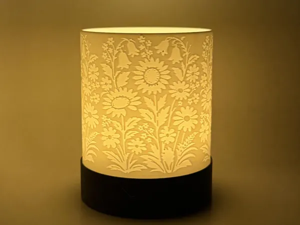 https://makerworld.bblmw.com/makerworld/model/US948f36e17085db/design/0754278d8ccdc159.jpg