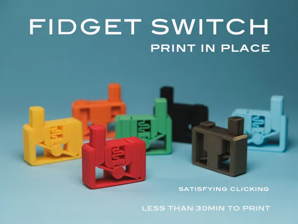 https://makerworld.bblmw.com/makerworld/model/US9493d138bd4b43/design/2024-11-26_2918068e3925d.jpg