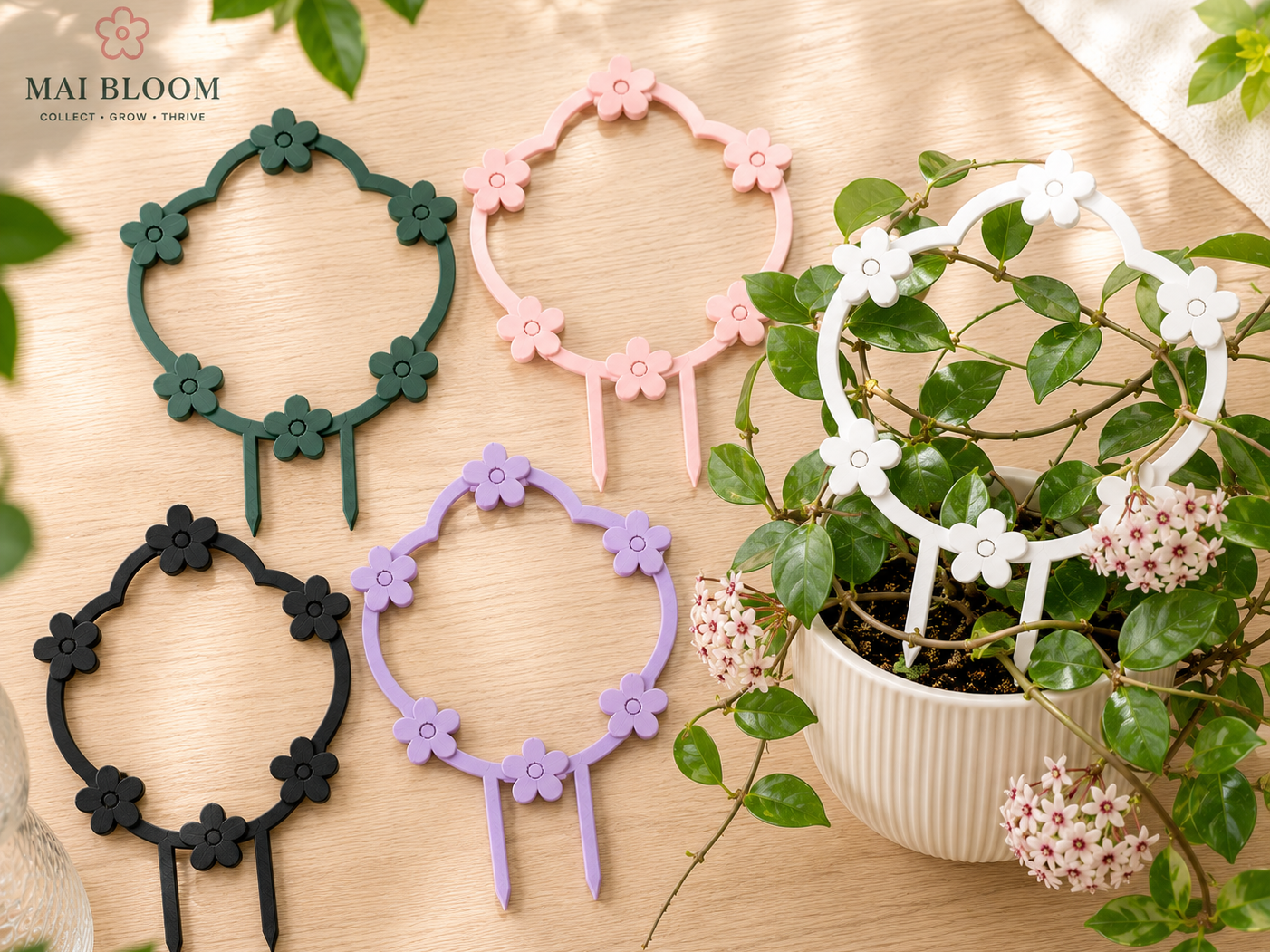 Mai Bloom Signature Blossom Trellis 