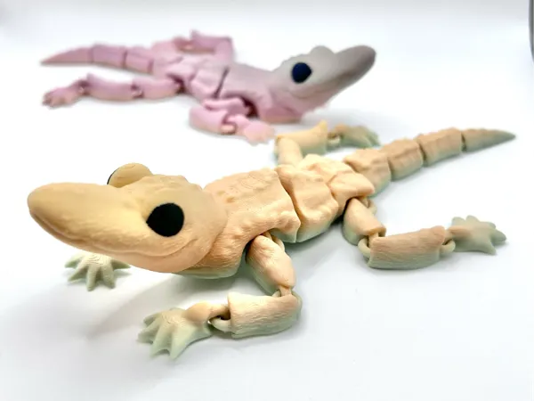 https://makerworld.bblmw.com/makerworld/model/US9498453ddb1005/design/2025-07-23_f719e236beadd8.jpg