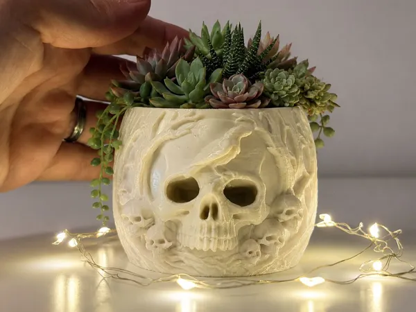 https://makerworld.bblmw.com/makerworld/model/US949e73d25b53e2/design/efc83676ee713464.jpeg