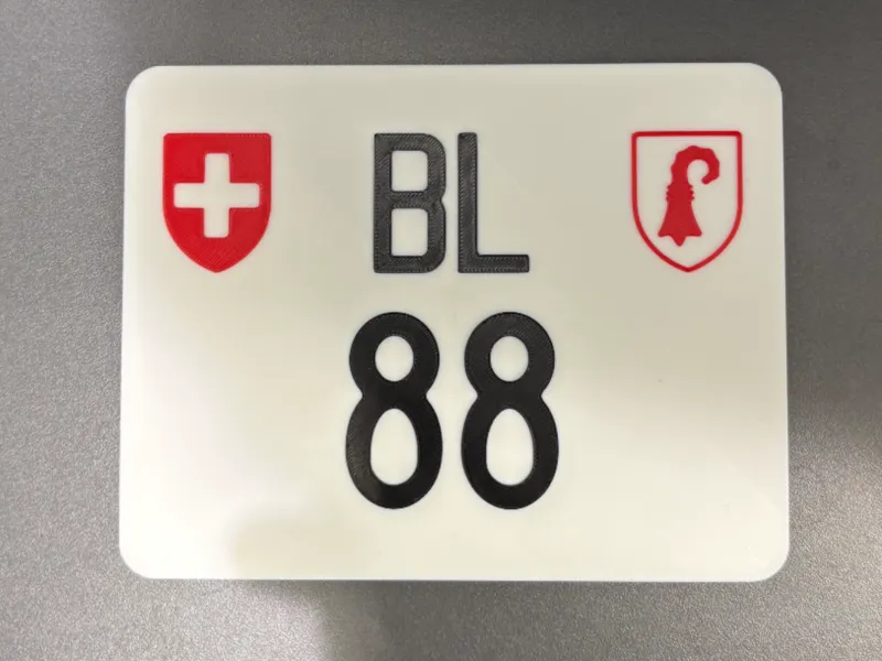 Fake-License-plate