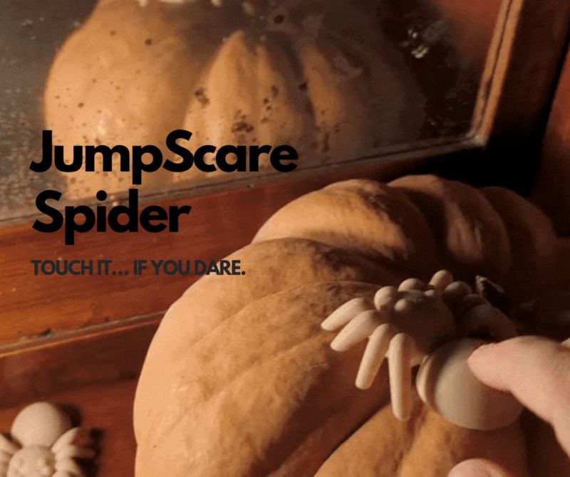 Jumpscare Spider