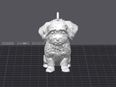 Maltese Dog as Pendant