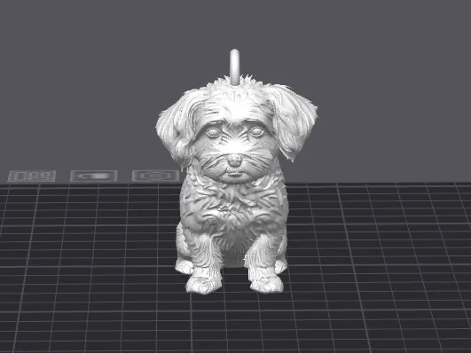 Malteser Hund als Anhänger