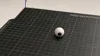 EyeBall shorter print