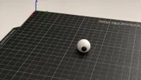 EyeBall shorter print