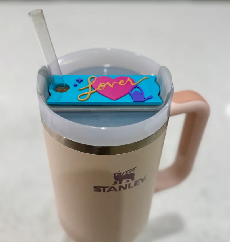 Taylor Swift Lover 40oz Stanley Toper
