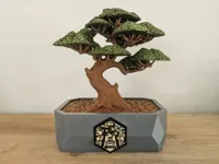 A1 Mini Profile