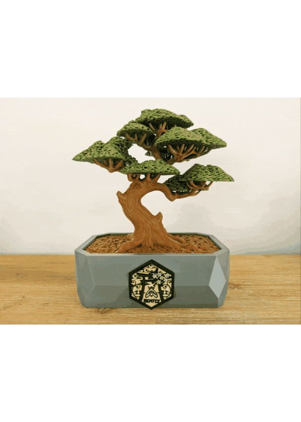 BONFLY - The Fly Catching Bonsai