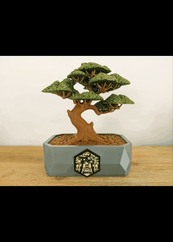 https://makerworld.bblmw.com/makerworld/model/US94b5cf29480a50/design/abbde9d86aa96d45.gif