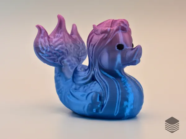 https://makerworld.bblmw.com/makerworld/model/US94b71369f46285/design/2025-01-17_7080116f55a72.png